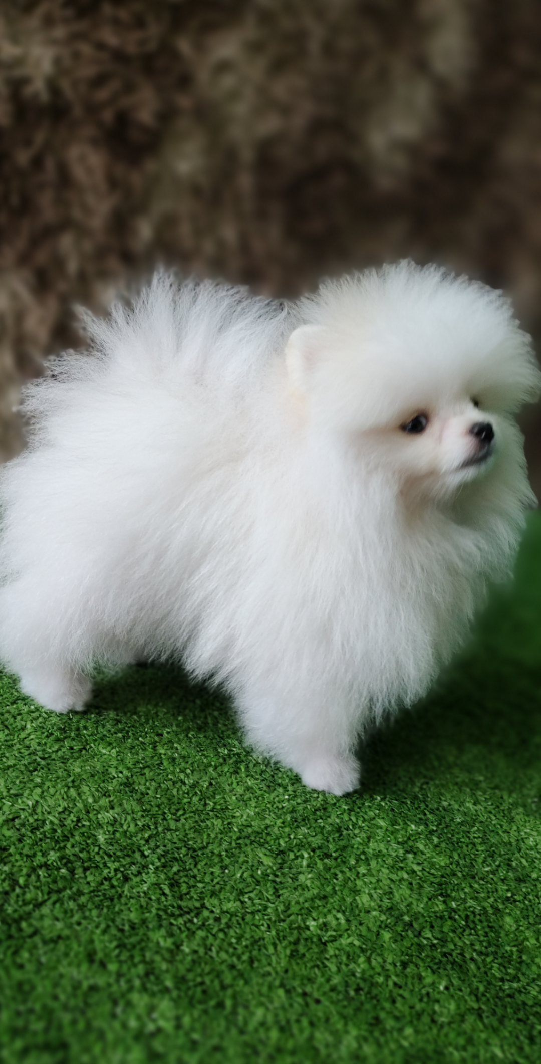 Screenshot_20230307-205050-026