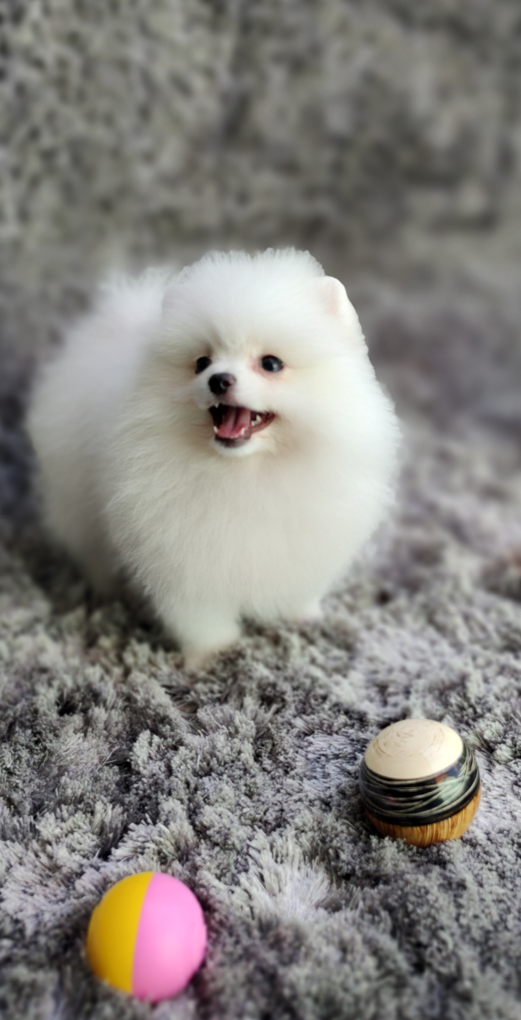 Screenshot_20230307-205205-823