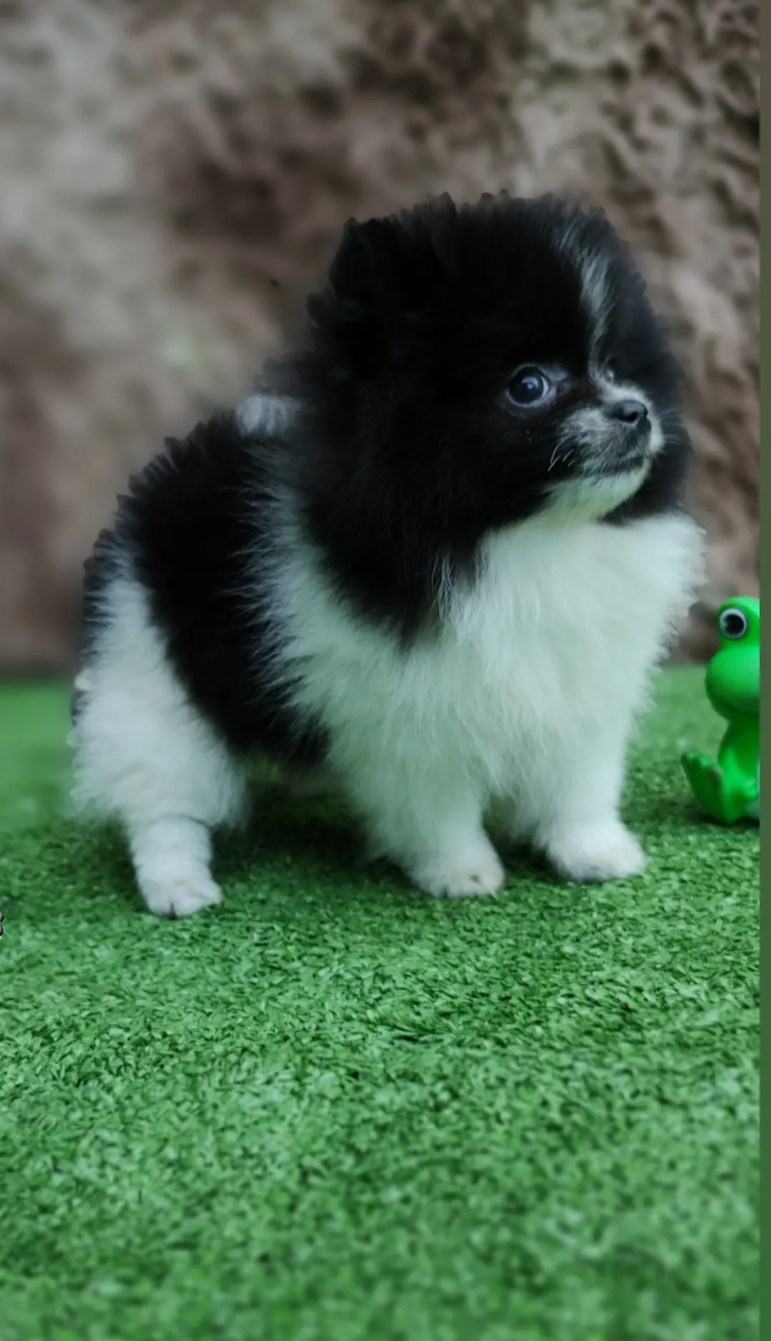 Screenshot_20230307-205855-699