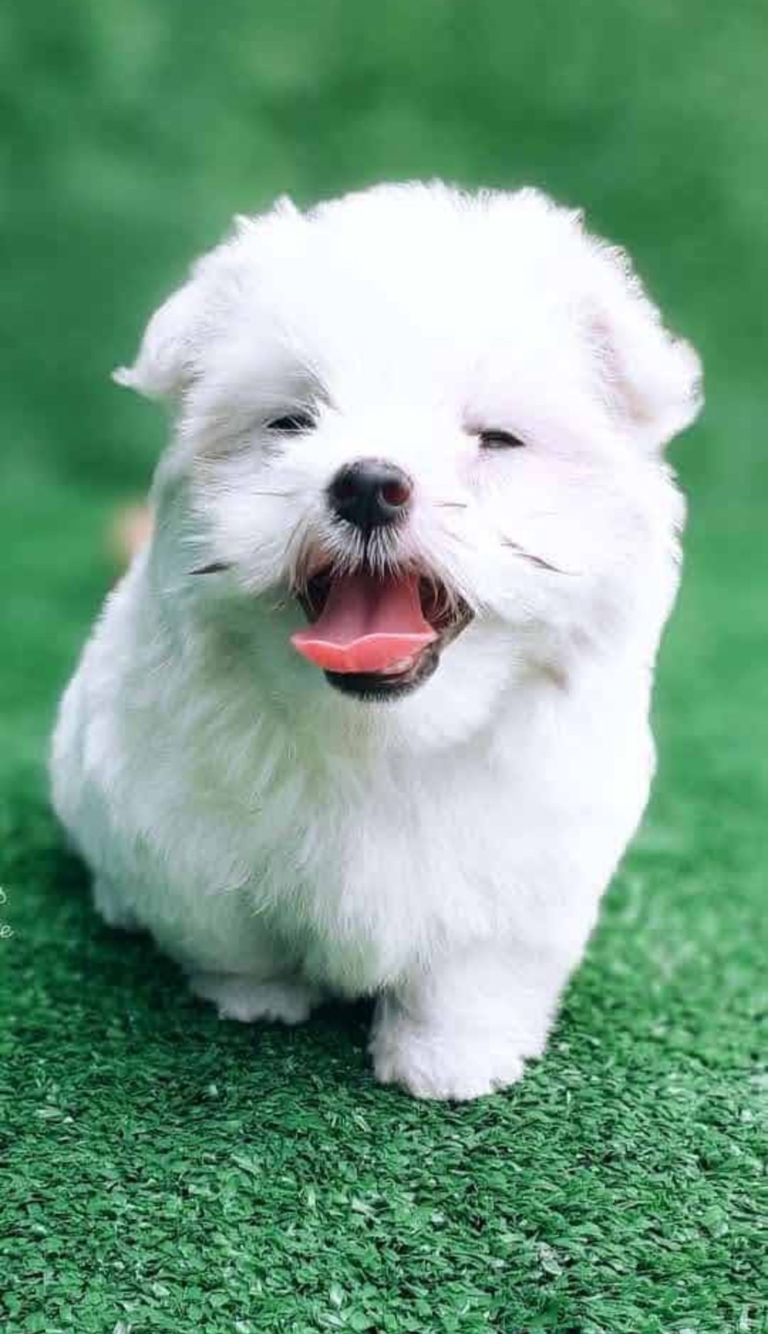 Screenshot_20230307-223734-088