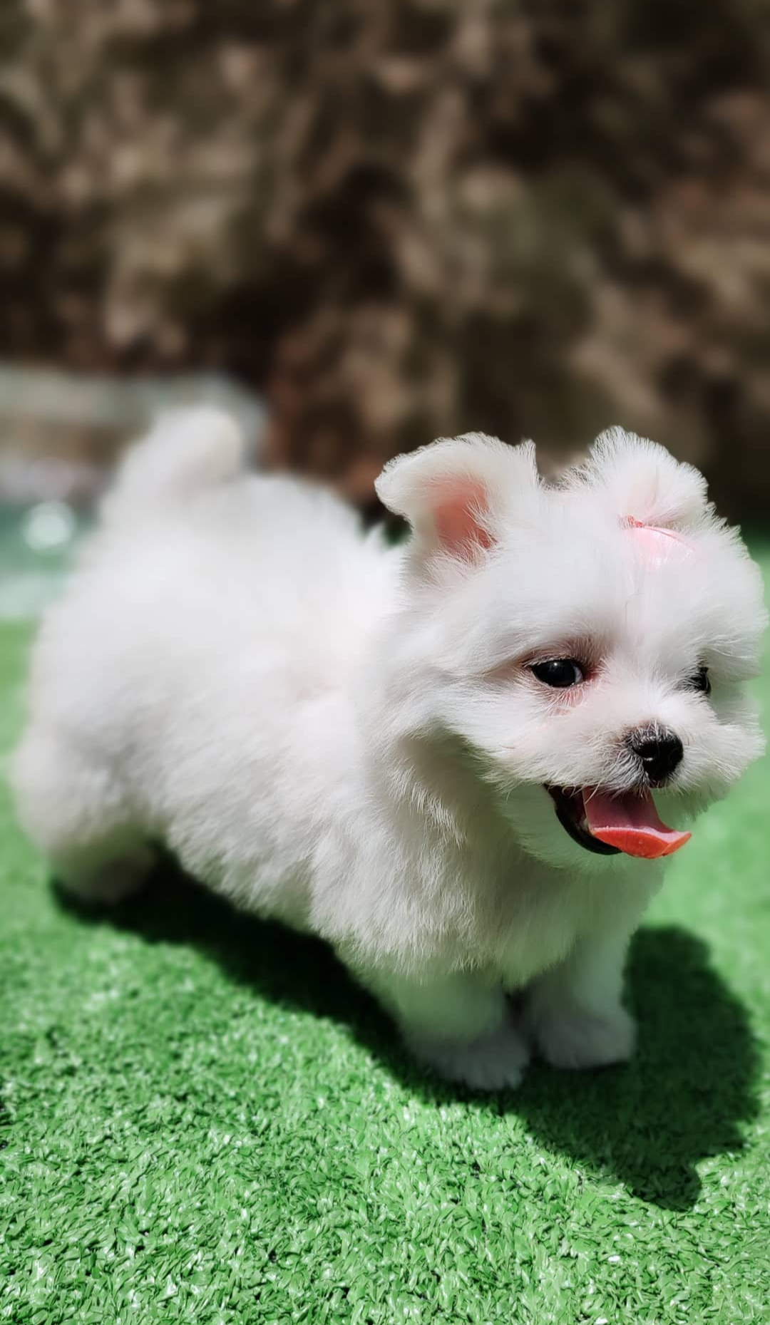 Screenshot_20230307-223843-912