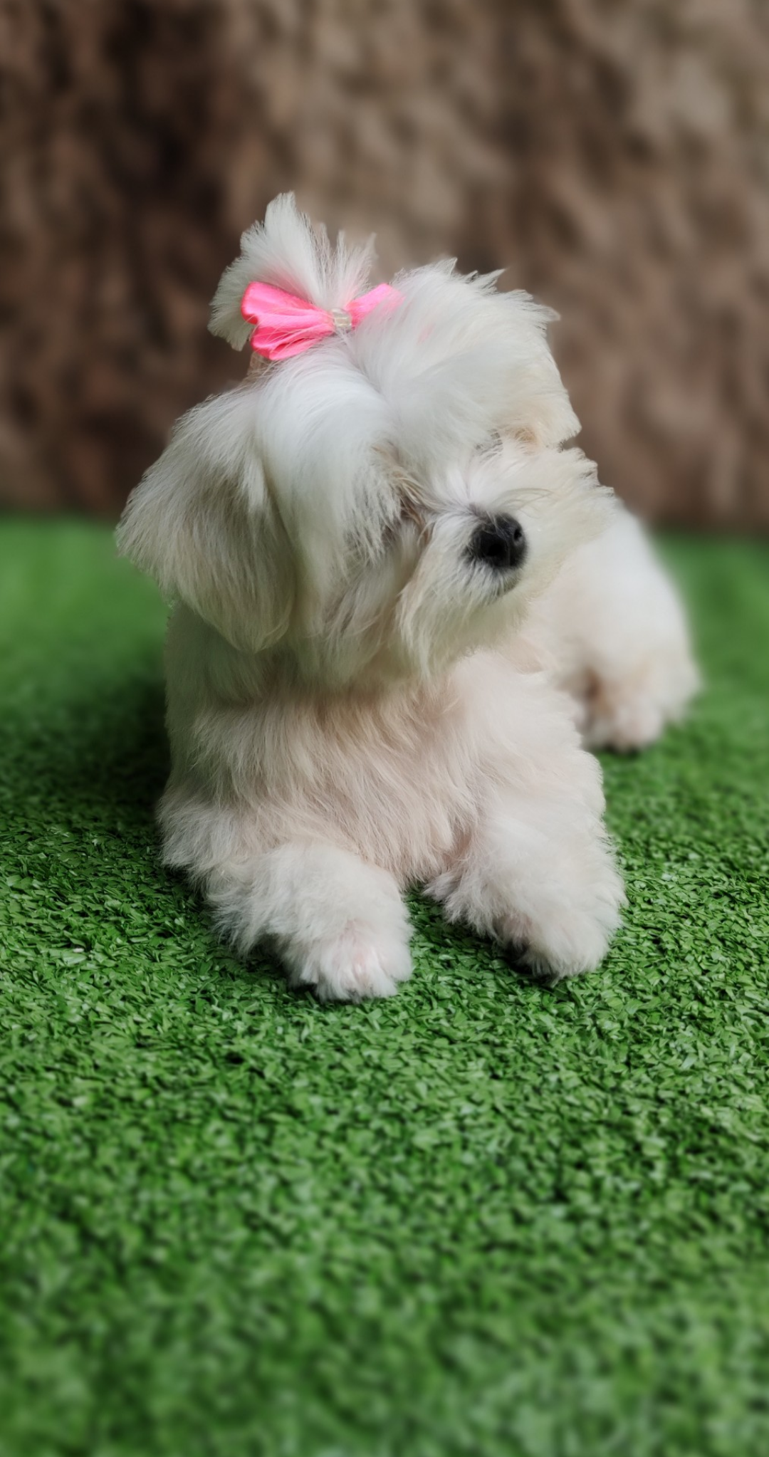 Screenshot_20230307-224509-588