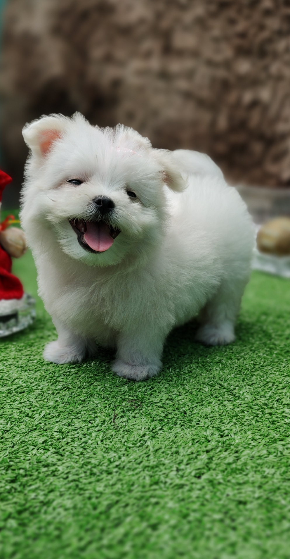 Screenshot_20230307-224652-100