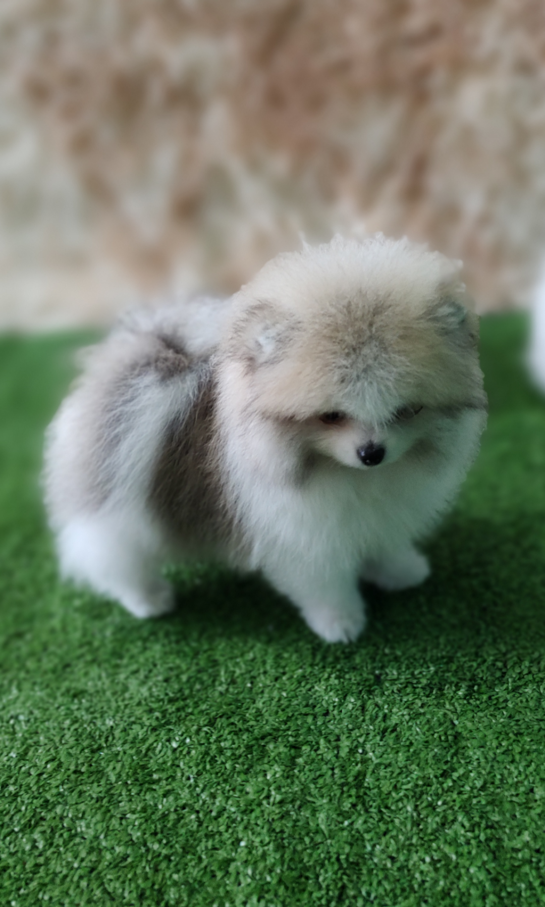 Screenshot_20230307-224857-965