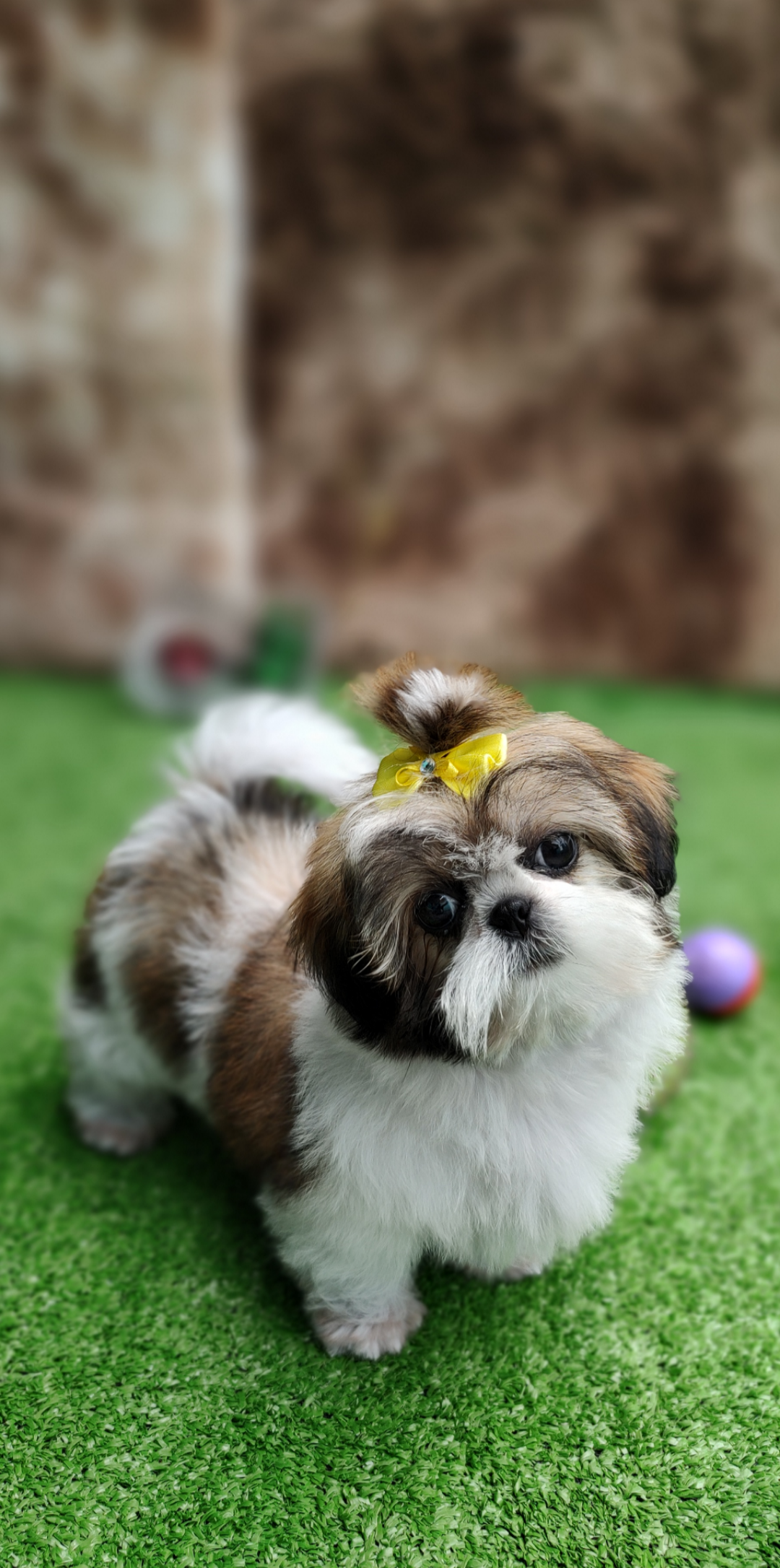 Screenshot_20230307-225008-566