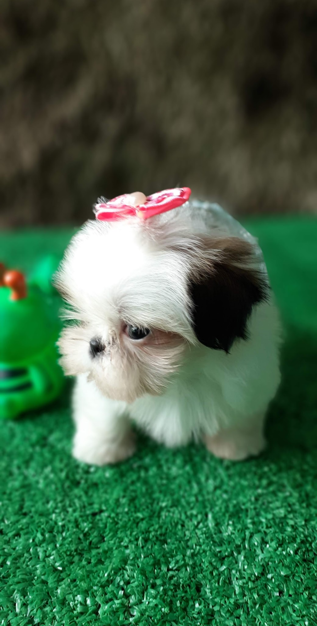 Screenshot_20230307-230142-930