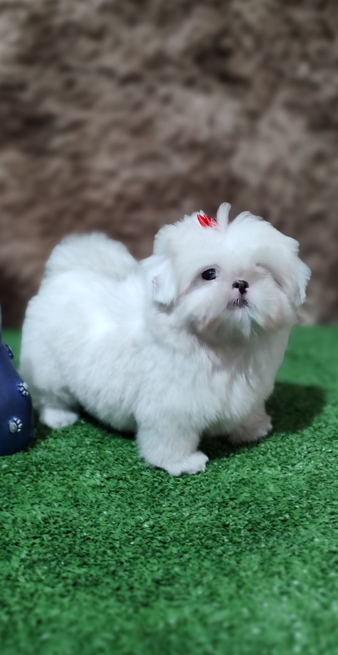 Screenshot_20230307-230943-450