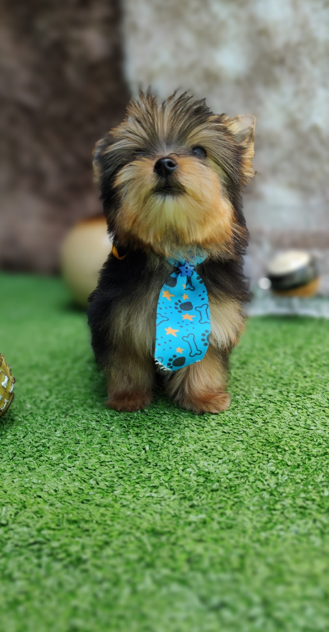 Screenshot_20230307-231604-788