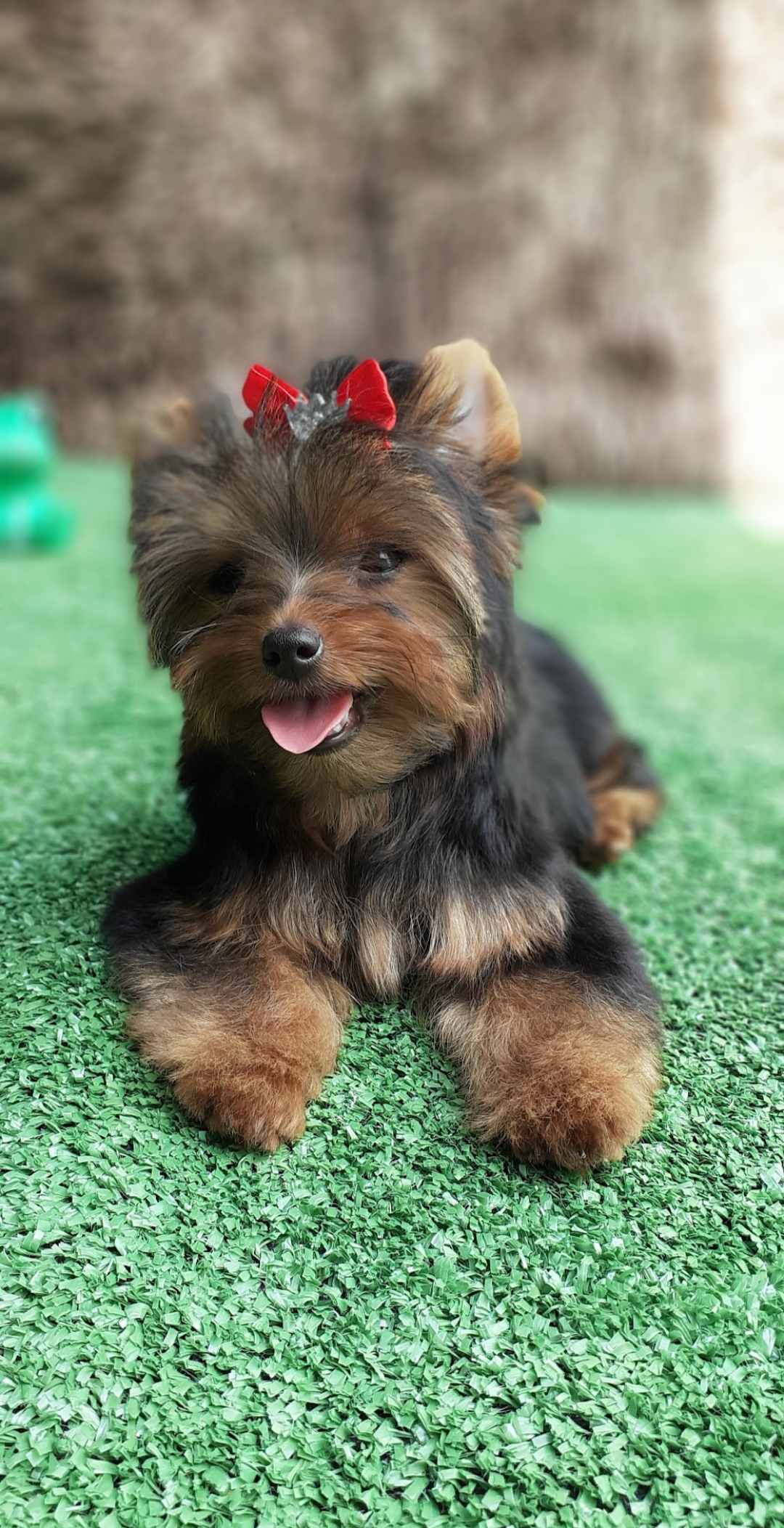 Screenshot_20230307-231946-096