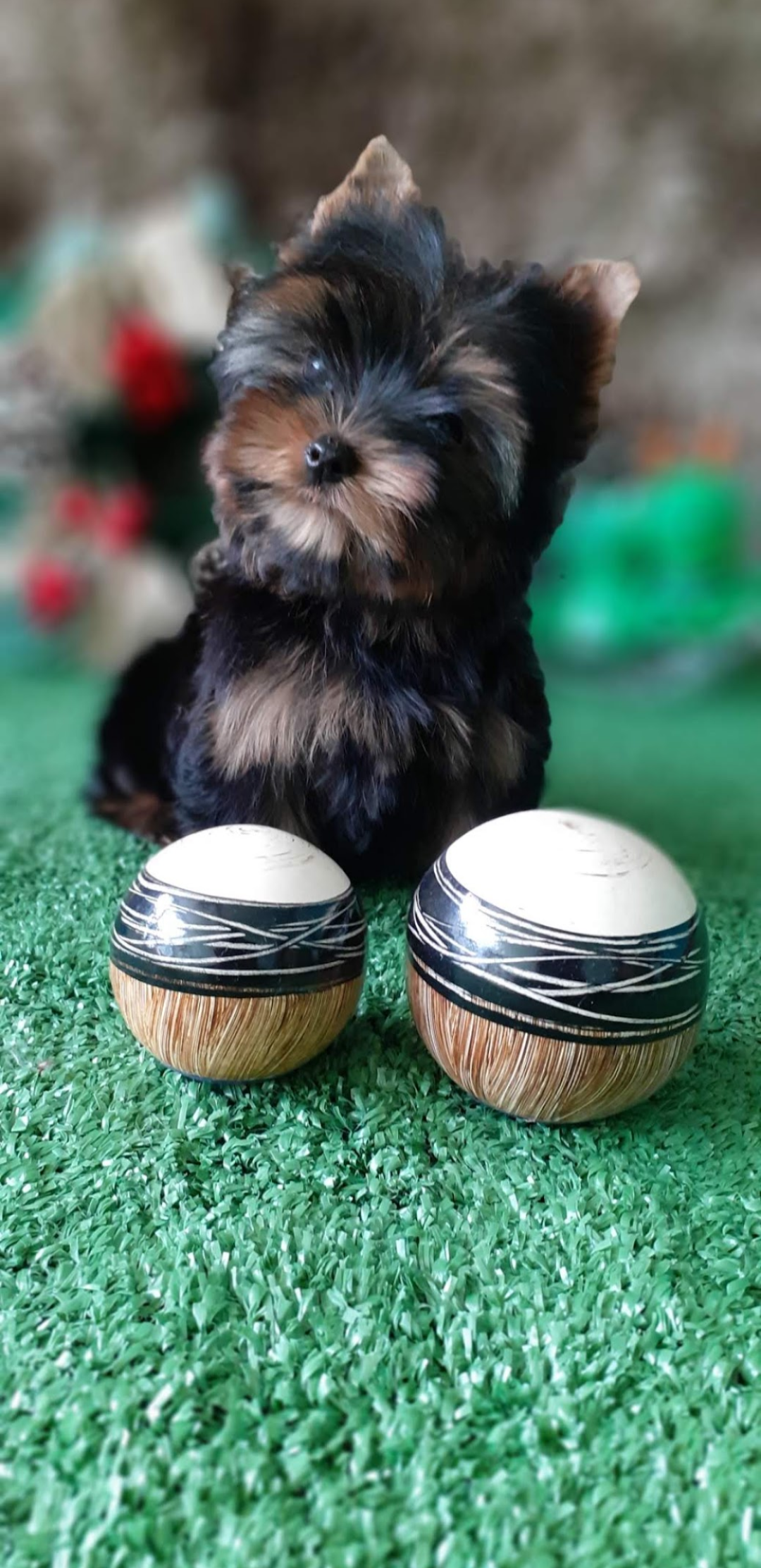 Screenshot_20230307-232254-980