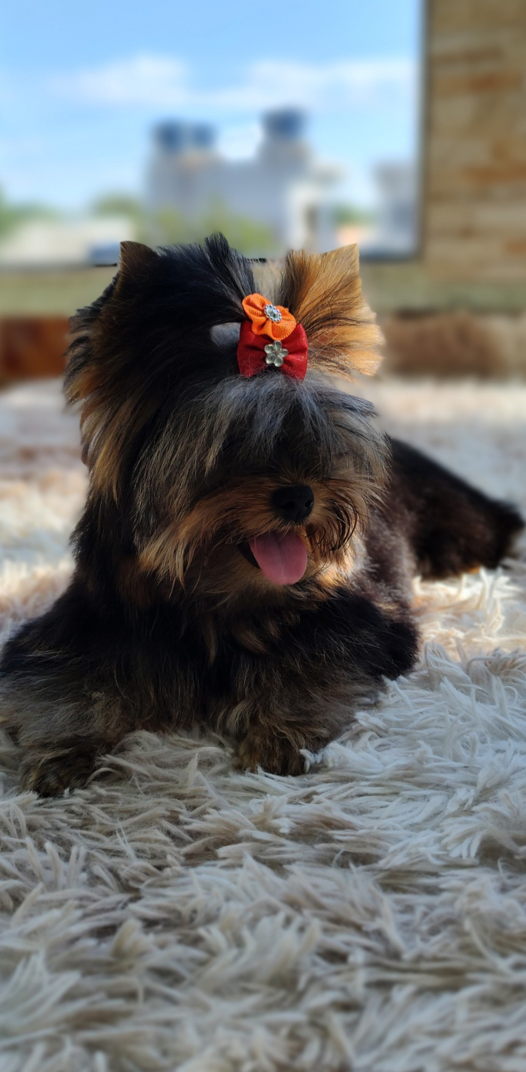 Screenshot_20230307-232349-416